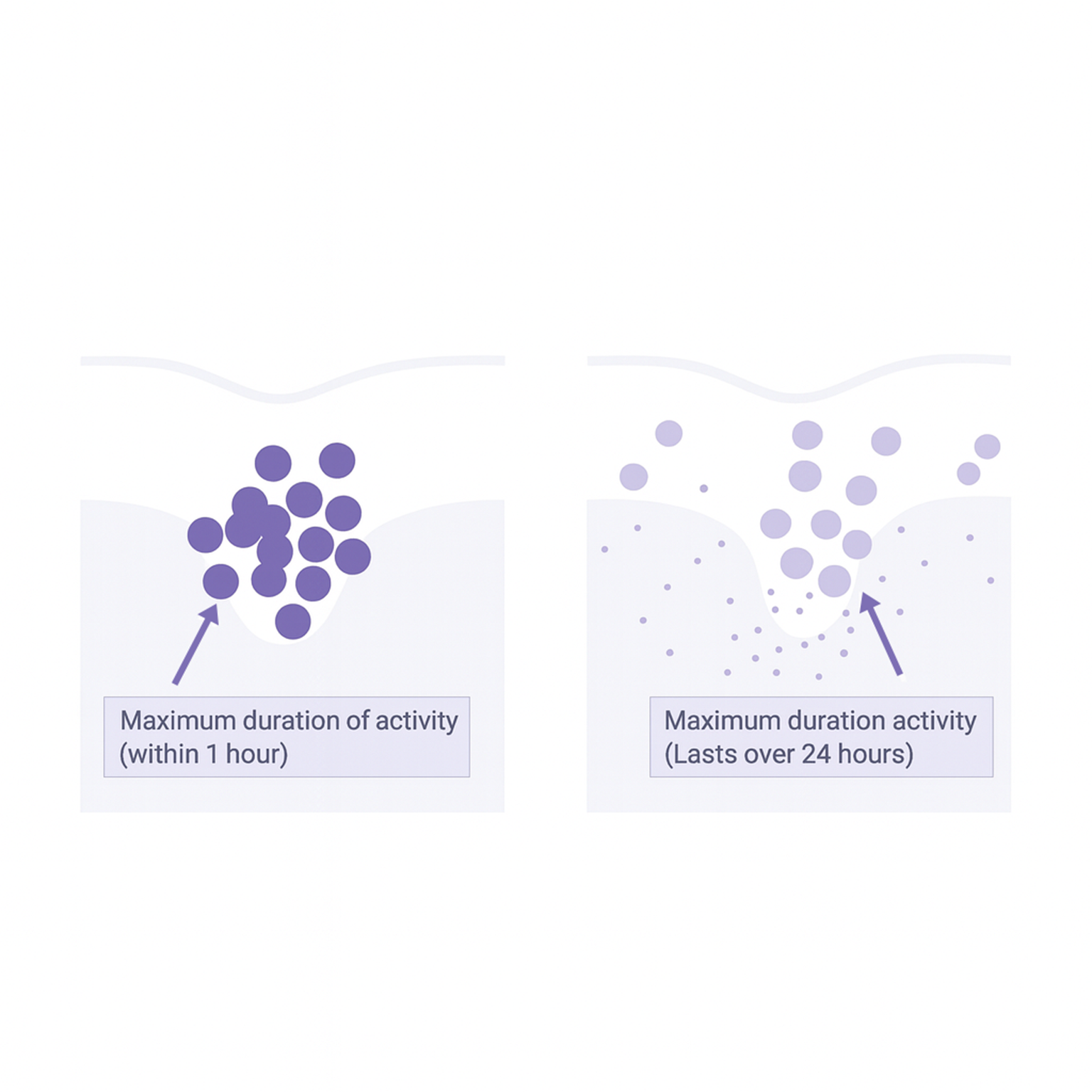 Diagram explaining how liposomal retinol provides long-lasting activity compared to traditional retinol